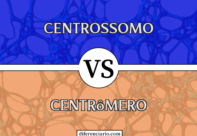 Diferença entre centrossomo e centrômero