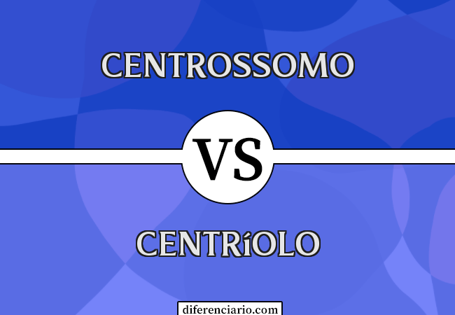 Diferença entre centrossomo e centríolo