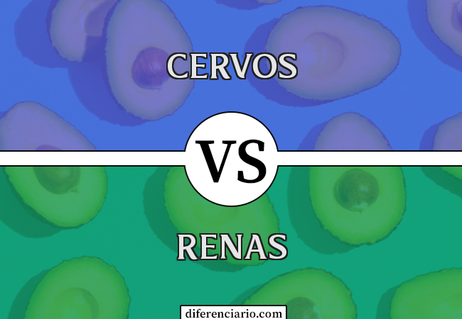 Diferença entre cervos e renas