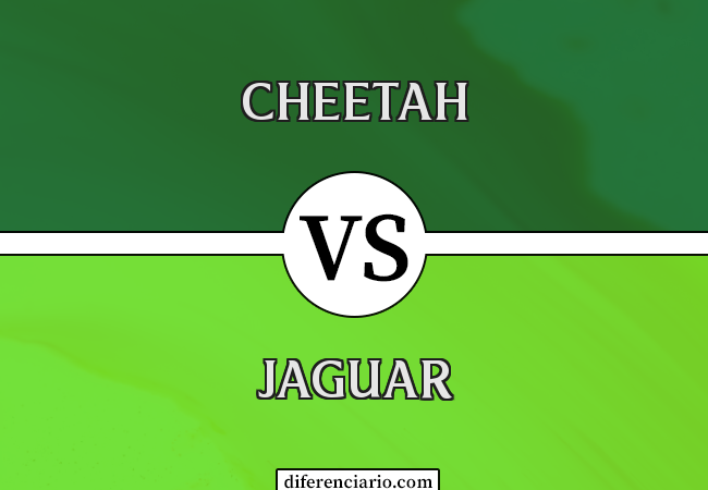 Diferença entre Cheetah e Jaguar