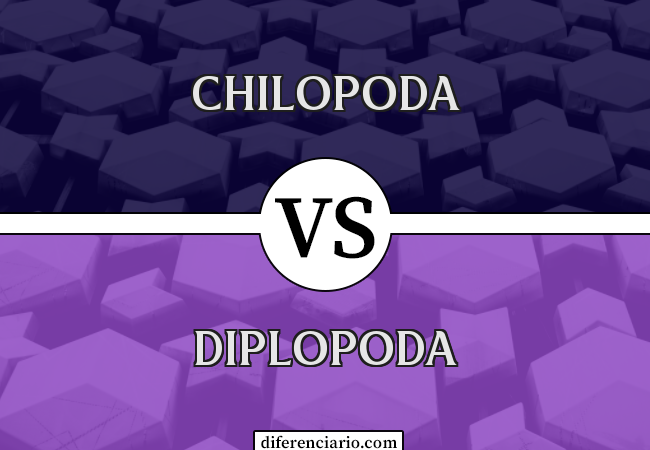 Diferença entre Chilopoda e Diplopoda