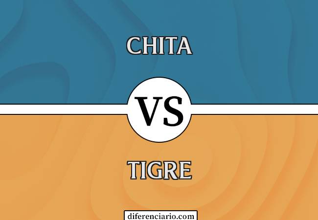 Diferença entre chita e tigre