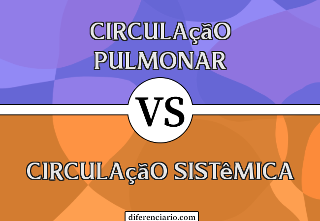 Diferença entre Circulação Pulmonar e Circulação Sistêmica