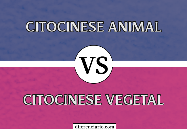 Diferença entre citocinese animal e citocinese vegetal