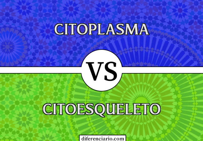 Diferença entre citoplasma e citoesqueleto