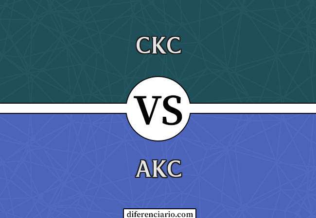 Diferença entre CKC e AKC