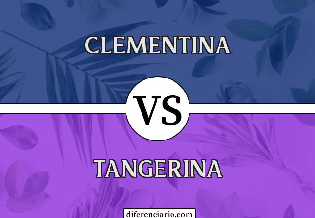 Diferença entre Clementina e Tangerina