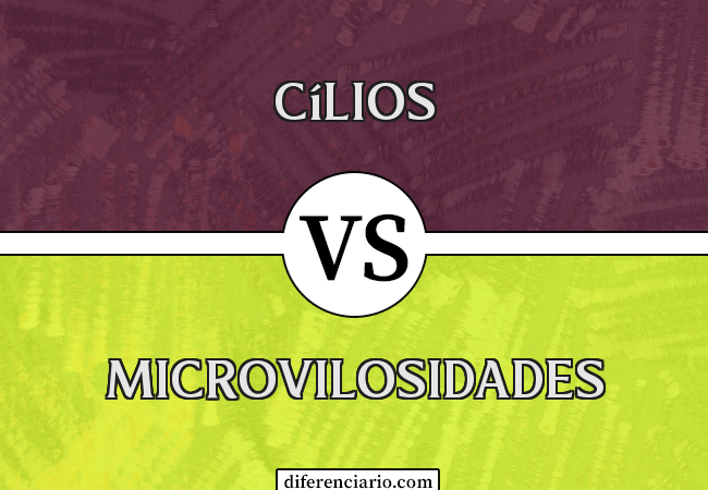 Diferença entre cílios e microvilosidades