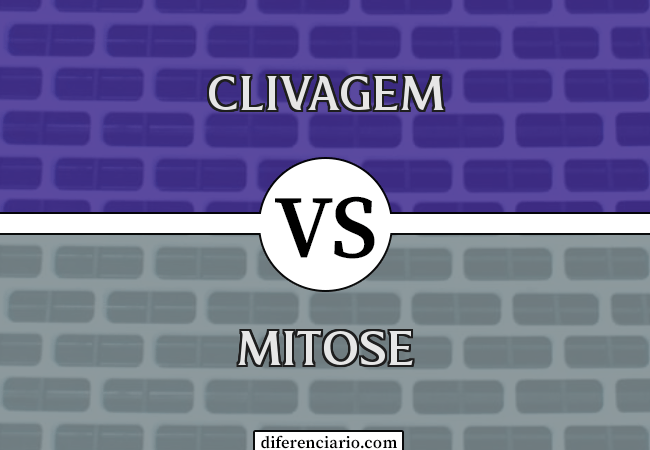 Diferença entre clivagem e mitose