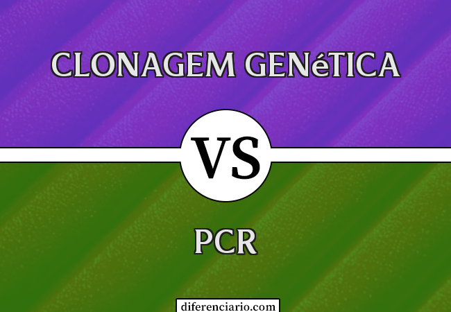 Diferença entre clonagem genética e PCR