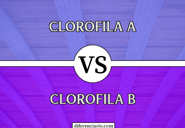 Diferença entre clorofila A e clorofila B