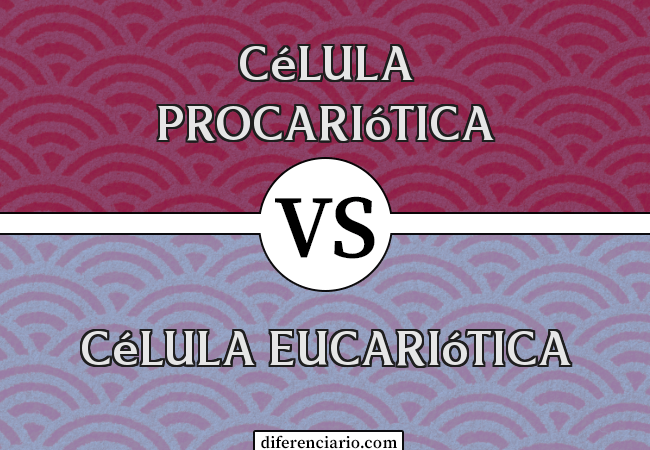 Diferença entre célula procariótica e célula eucariótica