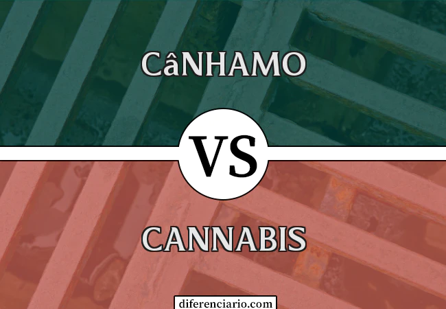 Diferença entre cânhamo e cannabis