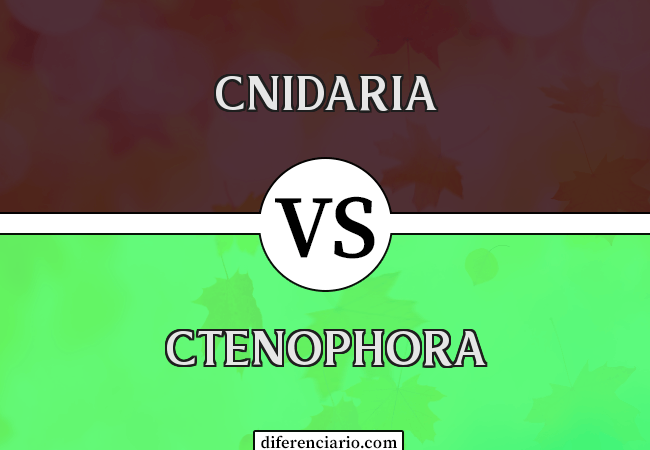 Diferença entre Cnidaria e Ctenophora