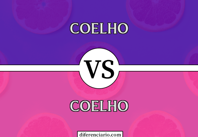 Diferença entre coelho e coelhinho