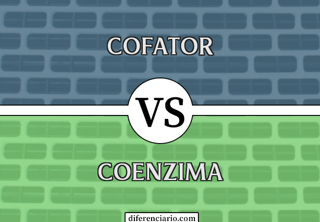 Diferença entre cofator e coenzima