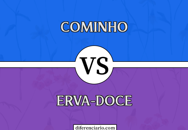 Diferença entre cominho e erva-doce