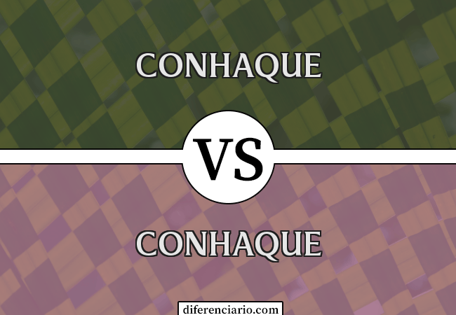 Diferença entre conhaque e conhaque