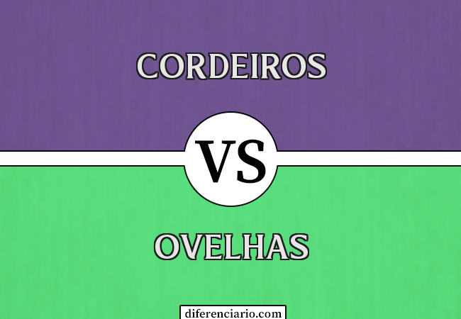 Diferença entre cordeiros e ovelhas