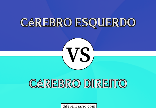 Diferença entre cérebro esquerdo e cérebro direito