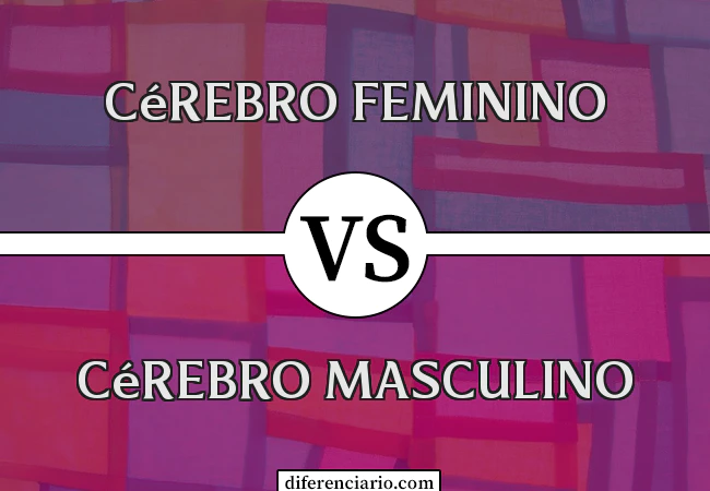 Diferença entre cérebro feminino e cérebro masculino