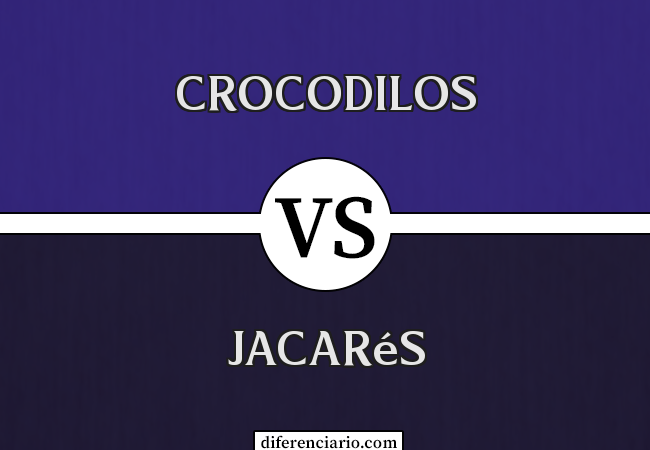 Diferença entre crocodilos e jacarés