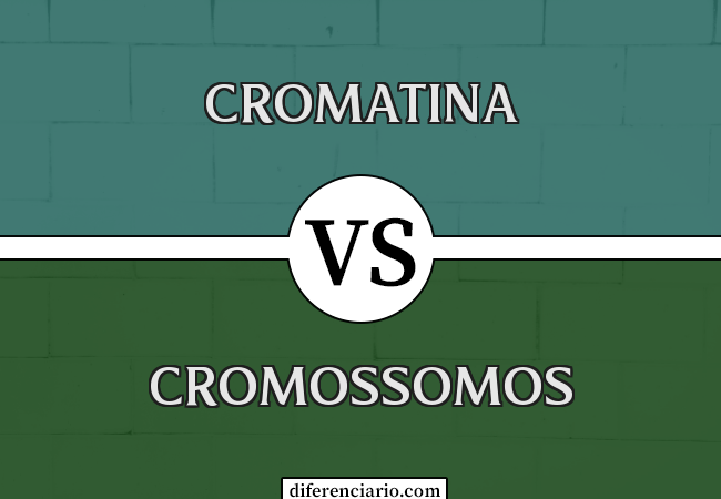 Diferença entre cromatina e cromossomos