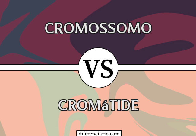 Diferença entre cromossomo e cromátide