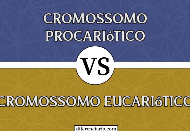 Diferença entre cromossomo procariótico e cromossomo eucariótico