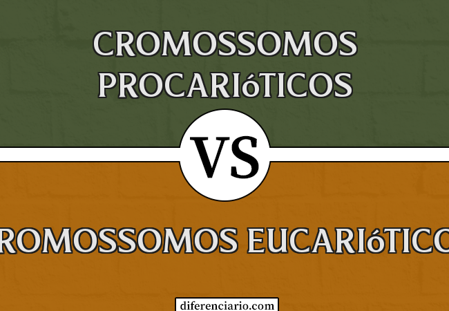 Diferença entre cromossomos procarióticos e cromossomos eucarióticos