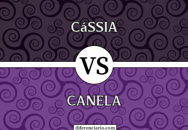 Diferença entre Cássia e Canela