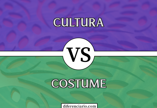 Diferença entre Cultura e Costume