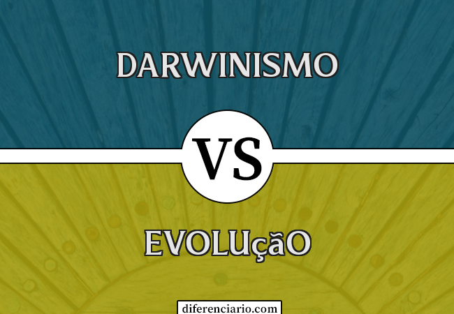 Diferença entre darwinismo e evolução