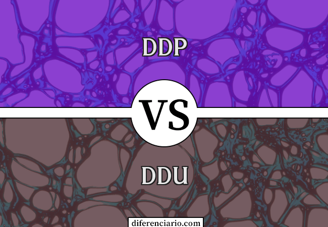Diferença entre DDP e DDU