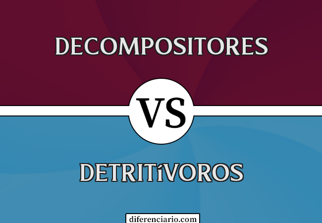 Diferença entre decompositores e detritívoros