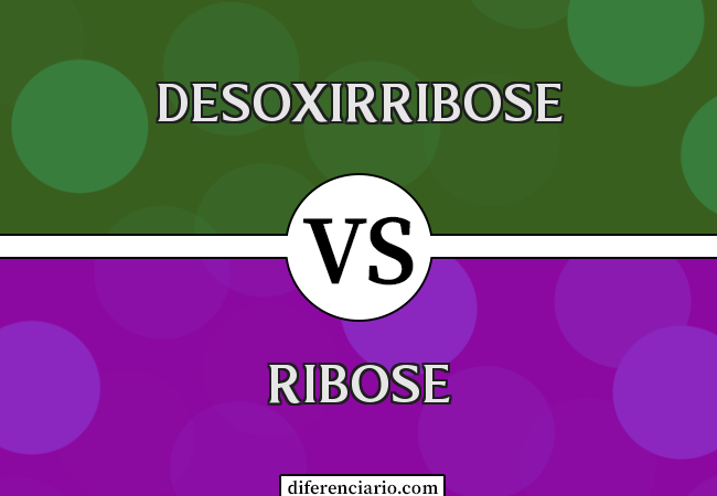Diferença entre desoxirribose e ribose