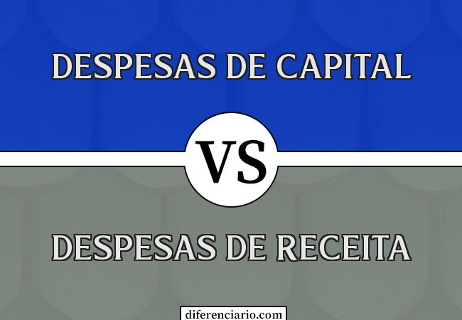 Diferença entre despesas de capital e despesas de receita