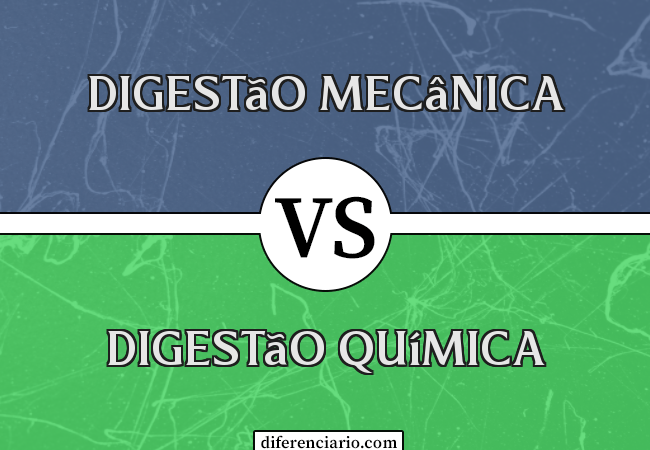 Diferença entre digestão mecânica e digestão química