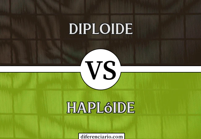 Diferença entre diploide e haplóide
