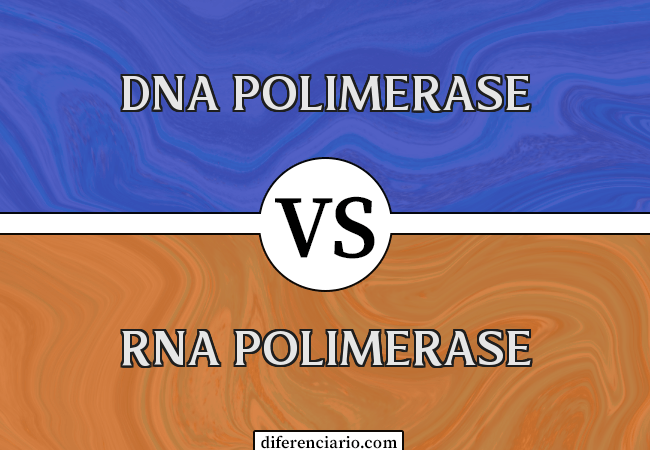 Diferença entre DNA polimerase e RNA polimerase