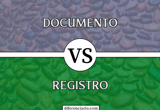 Diferença entre documento e registro