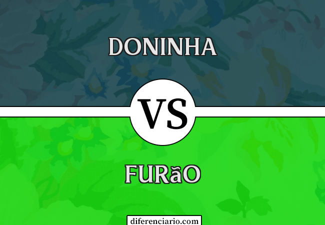 Diferença entre doninha e furão