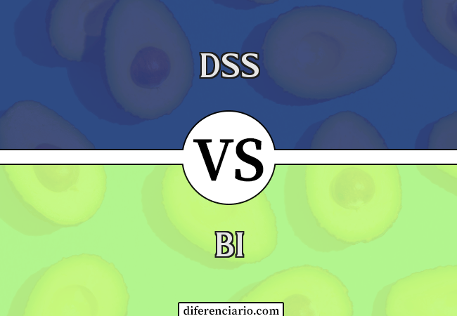 Diferença entre DSS e BI