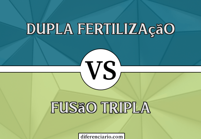 Diferença entre dupla fertilização e fusão tripla