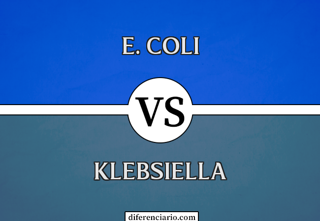 Diferença entre E. Coli e Klebsiella