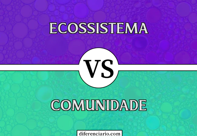 Diferença entre Ecossistema e Comunidade