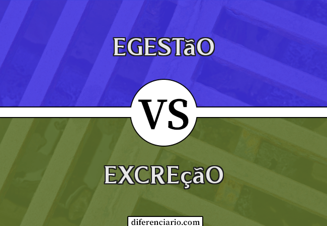 Diferença entre Egestão e Excreção