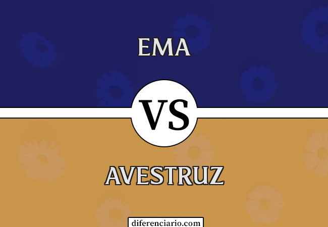 Diferença entre ema e avestruz