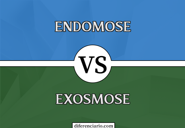 Diferença entre endomose e exosmose