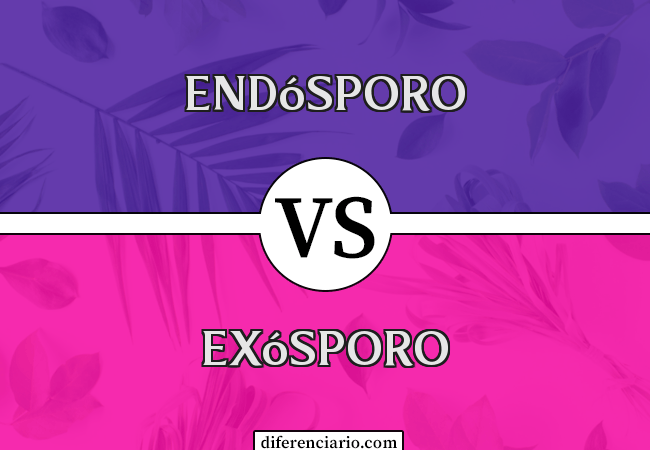 Diferença entre endósporo e exósporo